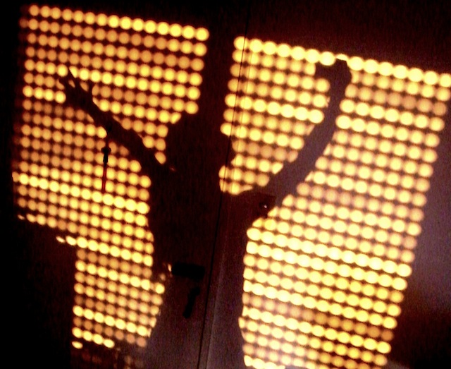image: TheAlieness GiselaGiardino²³ (cc: by-sa)